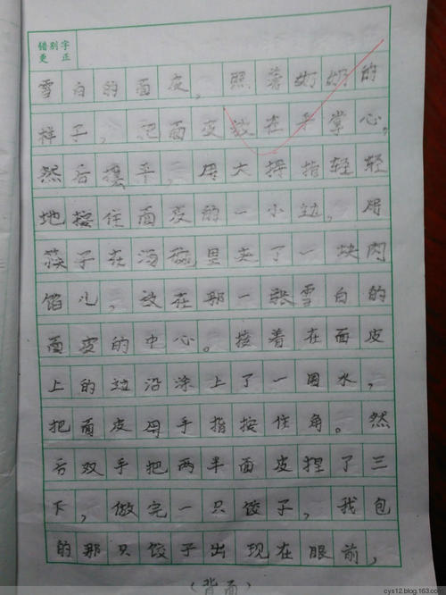 日记（15）_500字