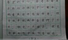 日记一则(15)_500字