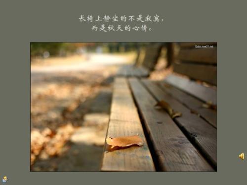 感悟_550字