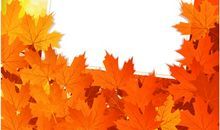 小枫树的变化_550字