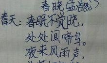 关于家乡变化的诗句
