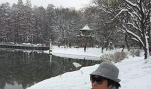瑞雪迎新年_800字