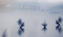 高三议论文：生如逆旅，一苇以航_750字