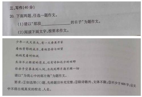 2009重庆高考全场作文：白发_1000字