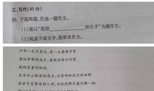 2009年重庆市中考满分作文：白发_1000字