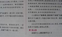 2009年中考满分作文赏析及点评_800字