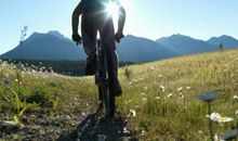 但行前路，坚持自我_800字