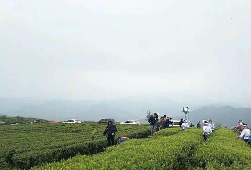 一木一瓦，陶铸方花_900字