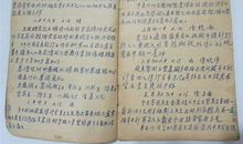 日记一则(14)_450字