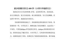 家乡的变化_450字