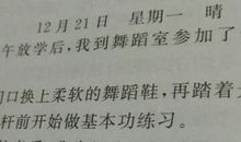 日记一则(12)_250字