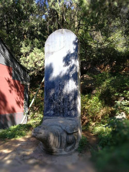 国庆泰山_200字