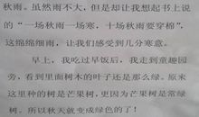 2009年河北省中考满分作文：说“墙”（9）_1200字