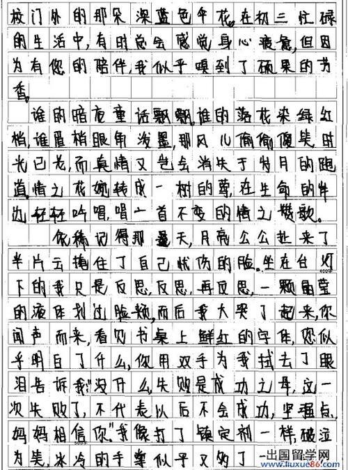 2009陕西省高中入学考试满分：作文细心（3）_1200字