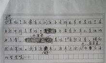 2009年山西省中考满分作文：表哥，太棒了！_1500字