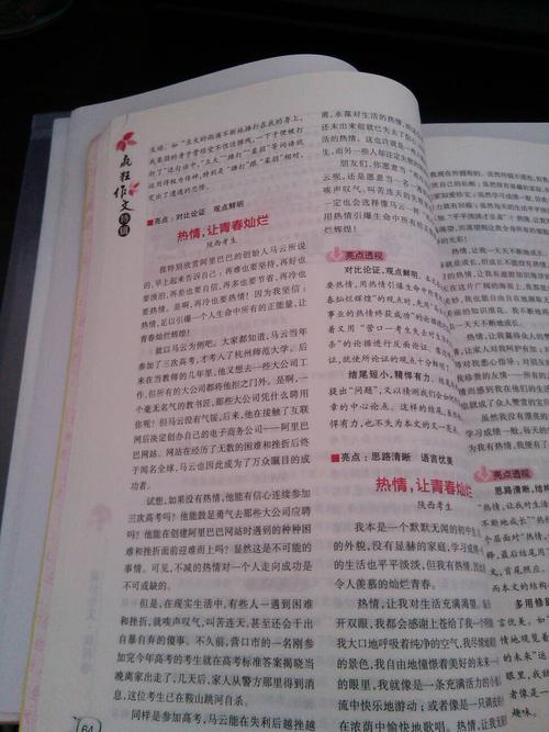 2009山西省高中入学考试成绩分数组成：打网球，太好了！ _900字