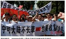 哪怕中国不长草，也要收复钓鱼岛_200字