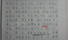 关于父母的爱的作文：妈妈给的爱_1000字