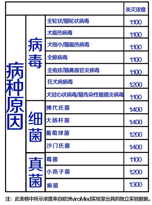吃粉_750字发生了什么
