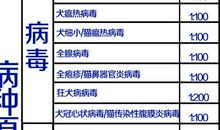 吃粉发生的事_750字