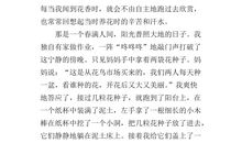 五年级写景作文：又到桂花飘香时_600字