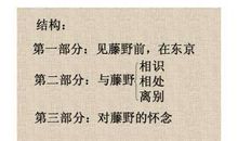 初一读后感：《朝花夕拾》之《藤野先生》_450字