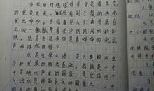 关于保护环境的作文：环保的建议书_350字
