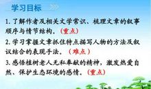 初一读后感：植树的牧羊人_450字