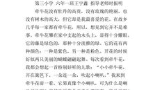 家乡的变迁史_700字