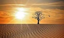 心窗打开，让阳光进来_2000字