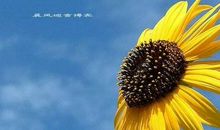 [PK赛]关于宽容的作文：我学会了宽容_700字