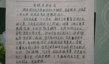 [PK赛]关于宽容的作文：宽容，能让人成长_500字