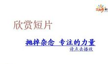 专注的力量_900字