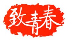 [PK赛]关于青春的作文：一夕是经年_1500字
