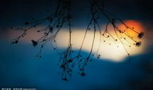 初一演讲稿：拒绝平庸_650字