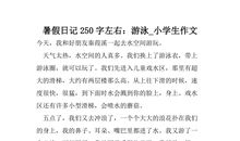 日记(5)_250字