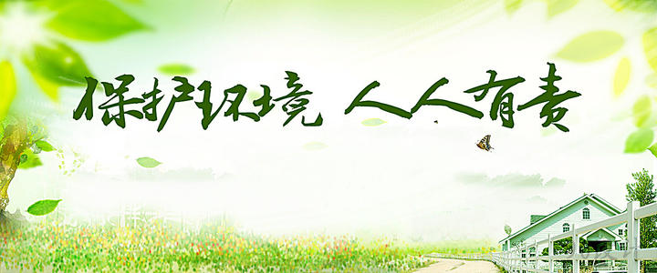 人人有责保护环境_800字