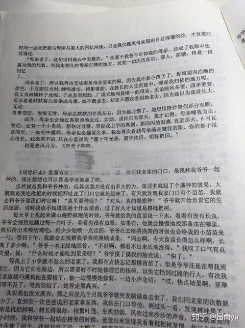 [微组成]承诺闪耀着_100字