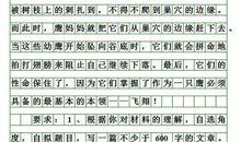 2009北京中考作文范文及点评_2000字