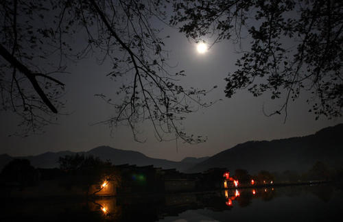Moonlight_100个字