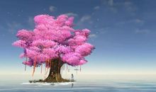 赞美校园美丽景色的段落