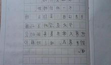 日记(6)_200字