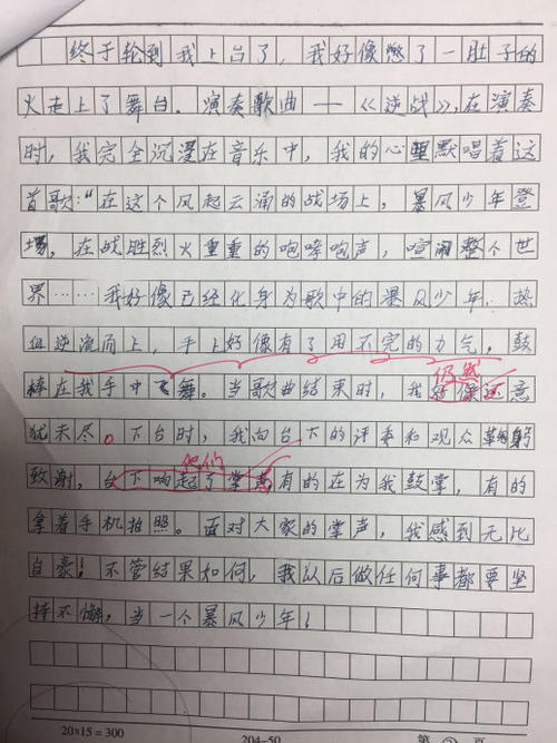 日记（13）_300字