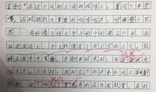日记一则(13)_300字