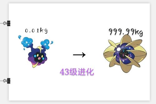 我的神奇宝贝_200字