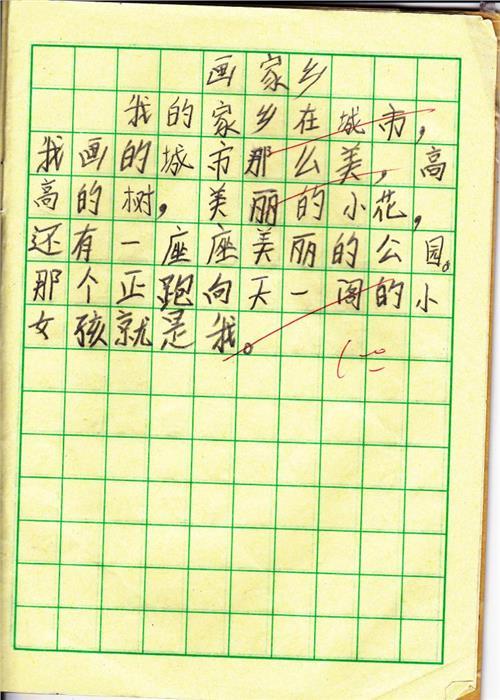 故乡居住环境调查报告_450字