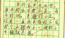 家乡居住环境调查报告_450字
