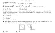 初三的时光_1000字