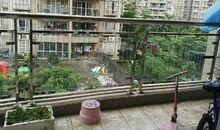 翠园，我来了_800字