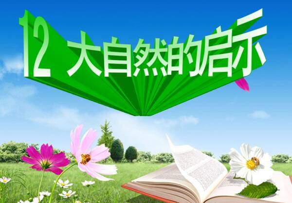 关于自然的构图：来自自然的灵感_750个单词